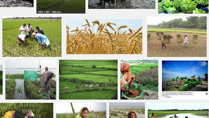 খাদ্য উৎপাদনে পঞ্চাশ বছরে কতটা এগিয়েছে দেশ
