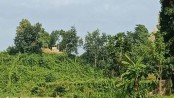 অস্থিরতা বাড়ছে, এবার জামছড়ি সীমান্তে বিস্ফোরণের শব্দ