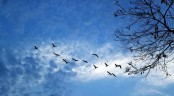 Dry weather likely to continue across Bangladesh