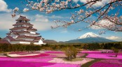 Japan to allow longer stays for digital nomads to boost consumption