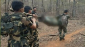 ভারতে আবারও ২২ মাওবাদী নিহত